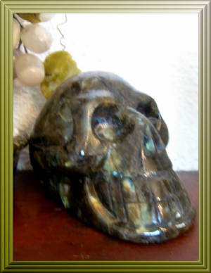 theskullwhisperers/labface.JPG