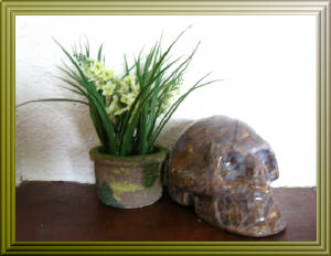 theskullwhisperers/pietrandplant.JPG