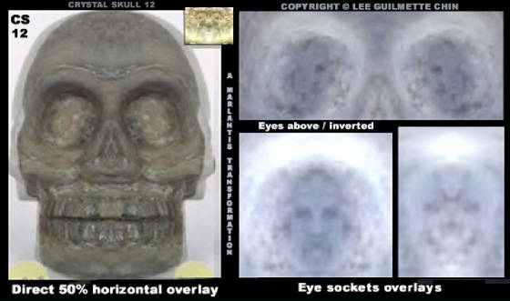 theskullwhisperers/skull-12-basicleechin.jpg