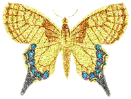 theskullwhisperers/butterflygraphic4.gif
