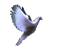 theskullwhisperers/dove.gif