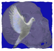 theskullwhisperers/doveskullcutout.JPG