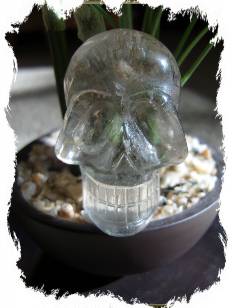 theskullwhisperers/garnetthis2.JPG