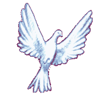 theskullwhisperers/largewhitedove.gif