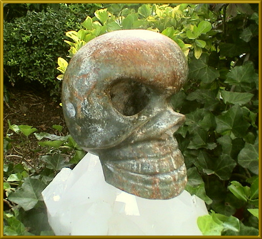 theskullwhisperers/xin1.JPG